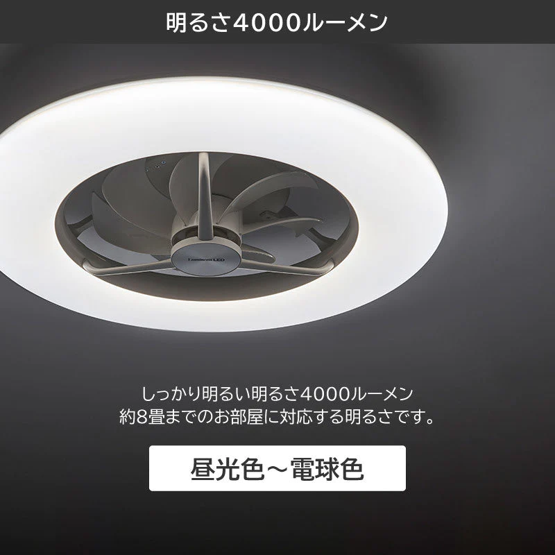 ドウシシャ シーリングサーキュレーター 8畳用 DCC-08CM シーリング 