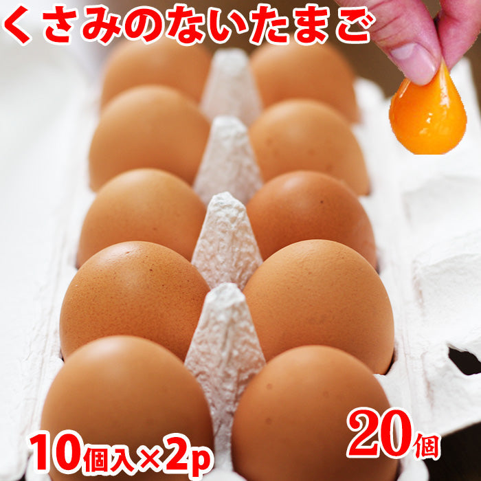 雲仙たまご10個×2