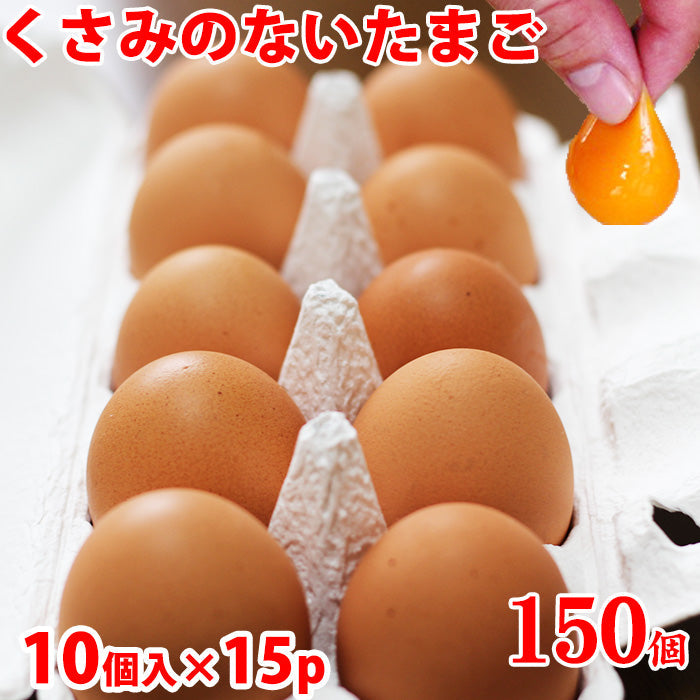 雲仙たまご10個×15