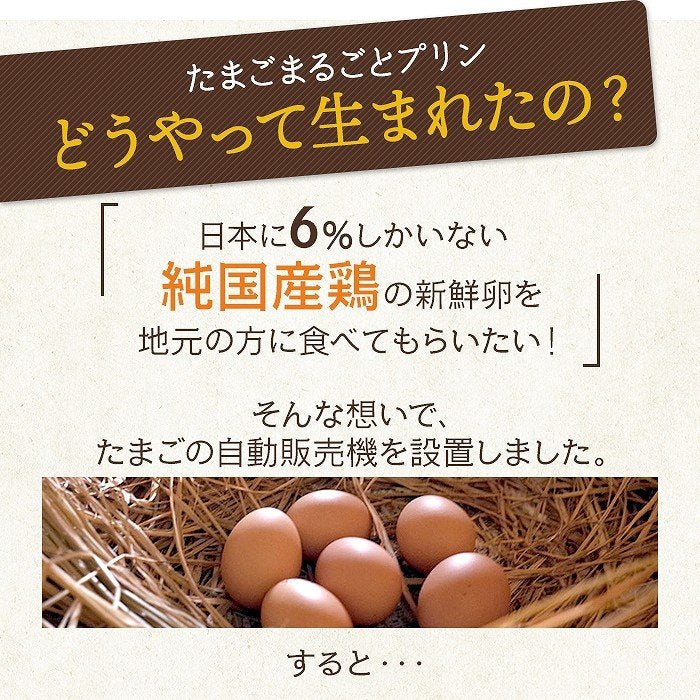 12個入り 淡路島 北坂たまご たまごまるごとプリン【メーカー直送品】