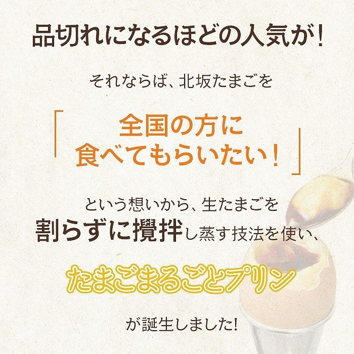 12個入り 淡路島 北坂たまご たまごまるごとプリン【メーカー直送品】