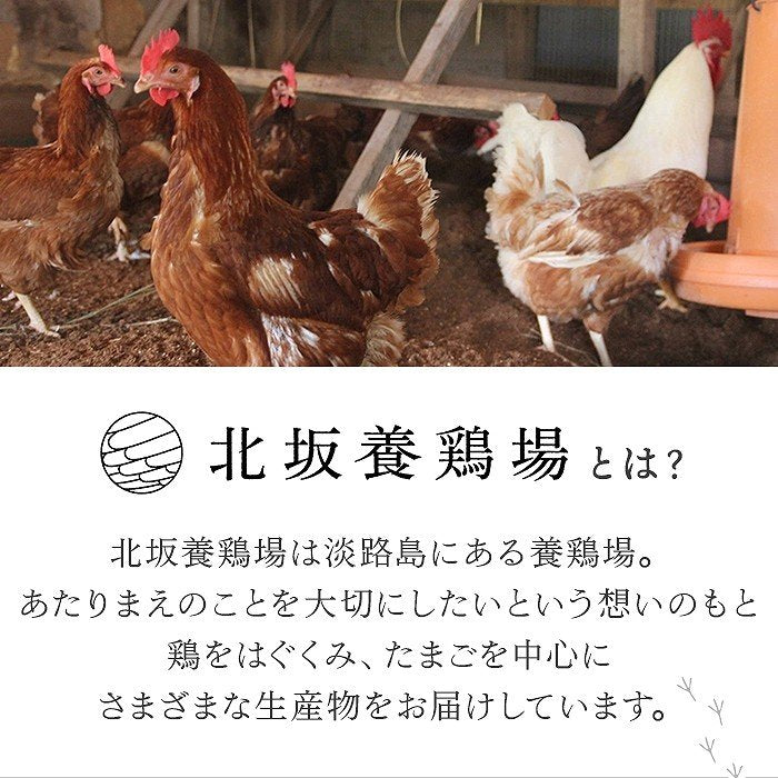 12個入り 淡路島 北坂たまご たまごまるごとプリン【メーカー直送品】
