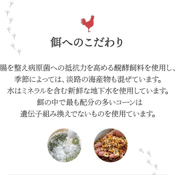 12個入り 淡路島 北坂たまご たまごまるごとプリン【メーカー直送品】