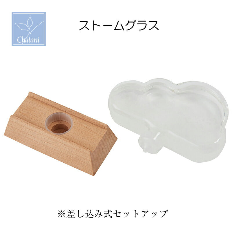 ファンサイエンス ストームグラス クラウド 333-274 茶谷産業 (4957907437025)