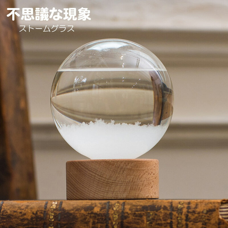 ファンサイエンス ストームグラス ドーム 333-275 茶谷産業