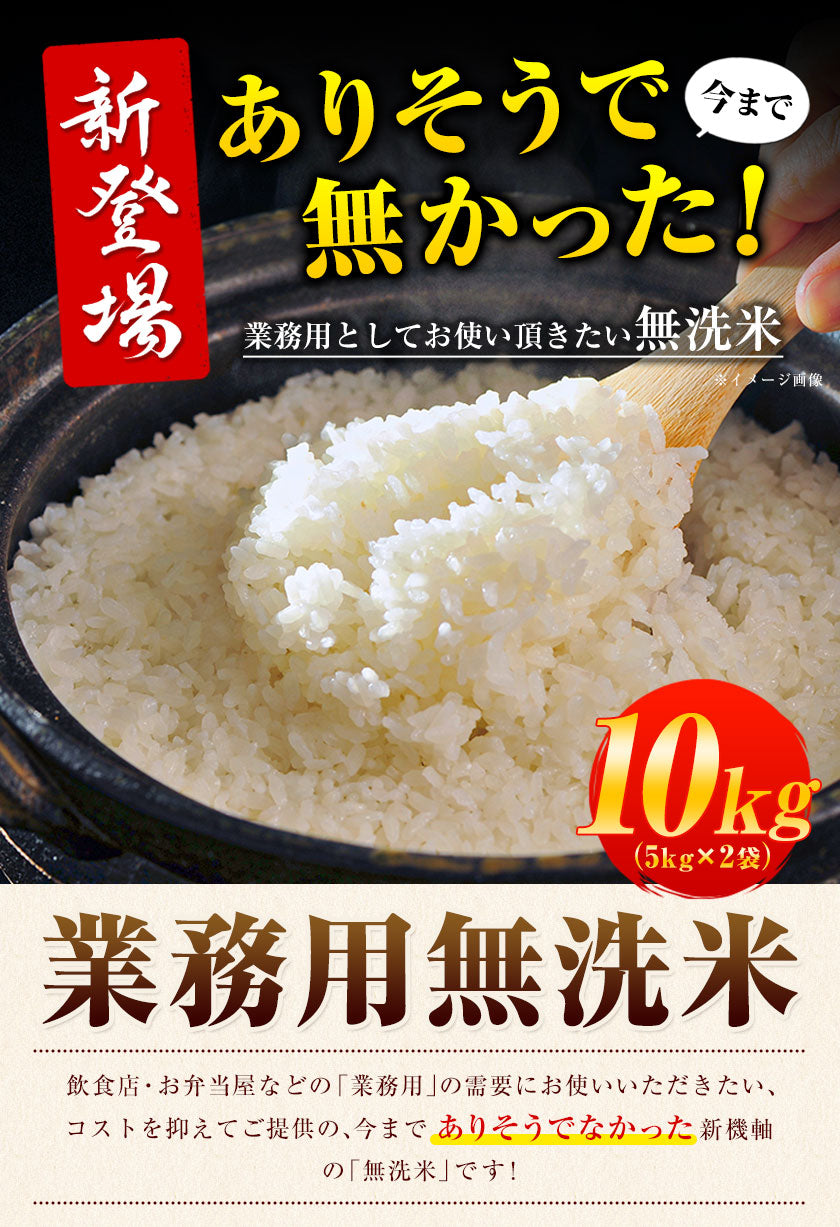 【熊本コレクション】業務用 無洗米 10kg (5kg×2) 送料無料【無洗米の最安値に挑戦中】コメ お徳用 無洗米 白米 非常食 保存食 業務用 訳あり わけあり 米 コメ 白米 精米 《1-5営業日以内に出荷(土日祝日除く)》