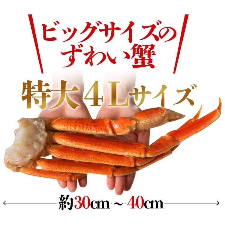 【50人でシェア買いでお得】超特大4Lサイズ ボイルずわい蟹 3kg ( かに カニ 蟹 ずわいがに ズワニガニ ずわい蟹 ボイルズワイガニ ) 送料無料 見舞い お取り寄せグルメ 食品 ギフト 海鮮