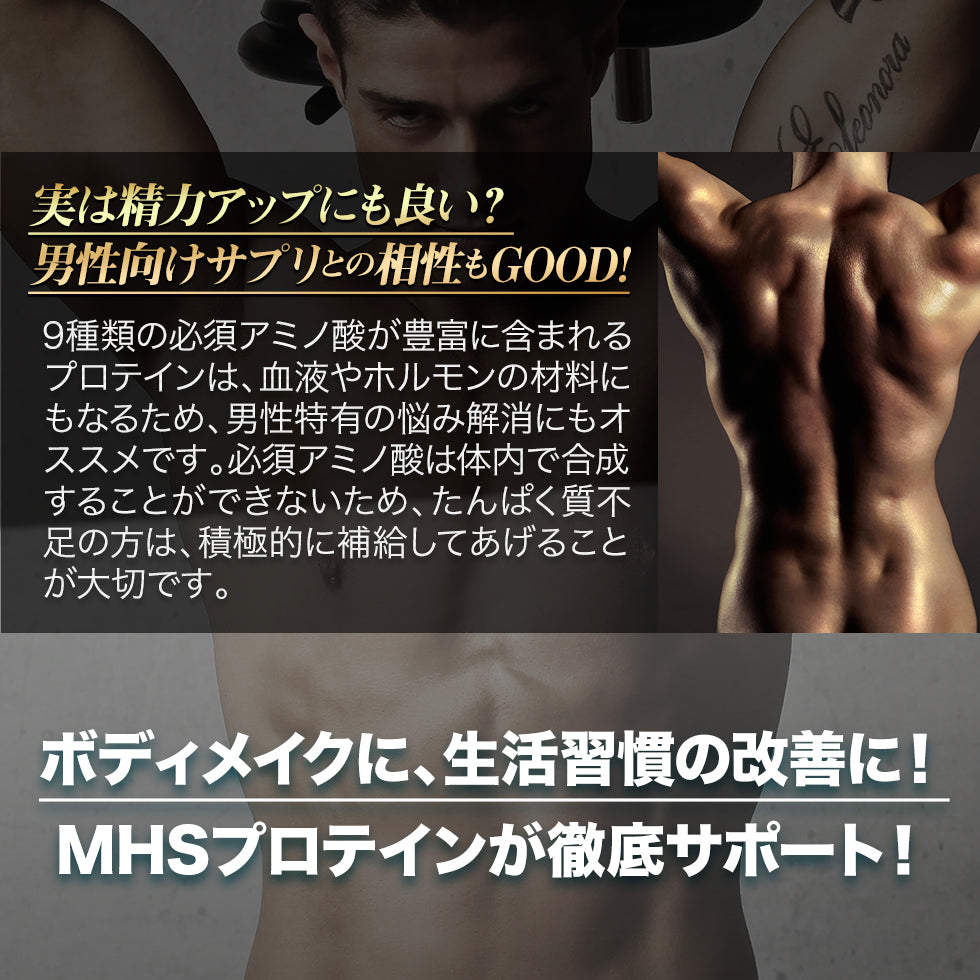 ホエイ プロテイン プレーン味 500g ドイツ産 無添加