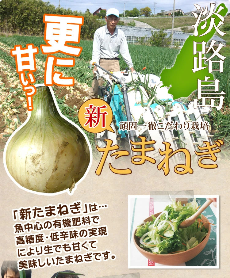 淡路島玉ねぎ訳あり - 野菜