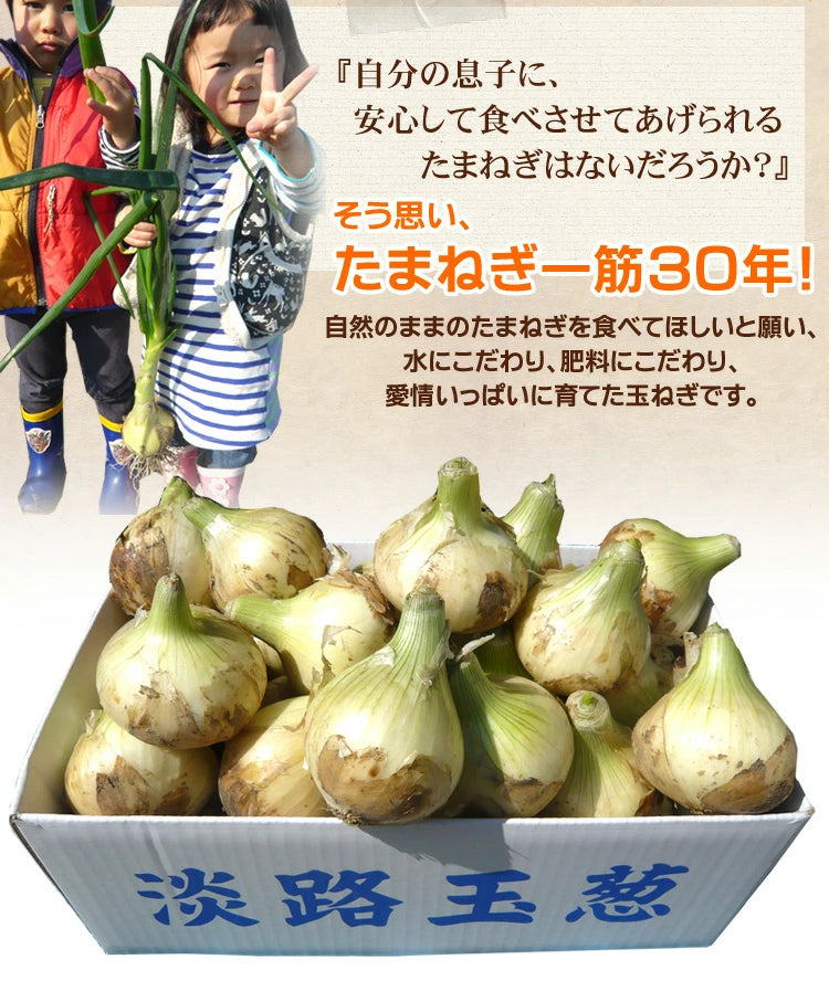 【先着10購入限定・13%OFF】10k 淡路島 訳あり 新玉ねぎ
