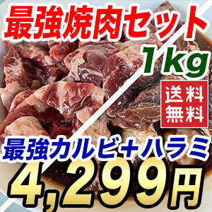 牛肉の焼肉セット 1kg たれ付ハラミと中落ちカルビの最強セット 1000g バーベキュー BBQ カルビ丼 牛肉 お肉 冷凍