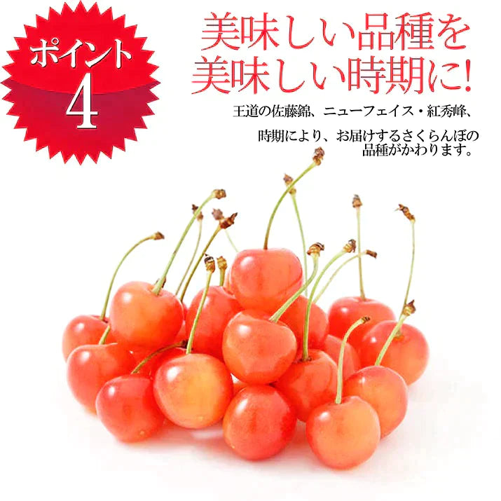 【6月下旬発送】 さくらんぼ 1kg お徳用 佐藤錦 or 紅秀峰 他 山形県産 バラ詰めお一人様2箱まで 家庭用 数量限定 産地直送 訳あり サイズ混合 送料無料 ※遠方へは別途送料がかかります 品種の指定はできません 果物 大特価【エコ得SALE】