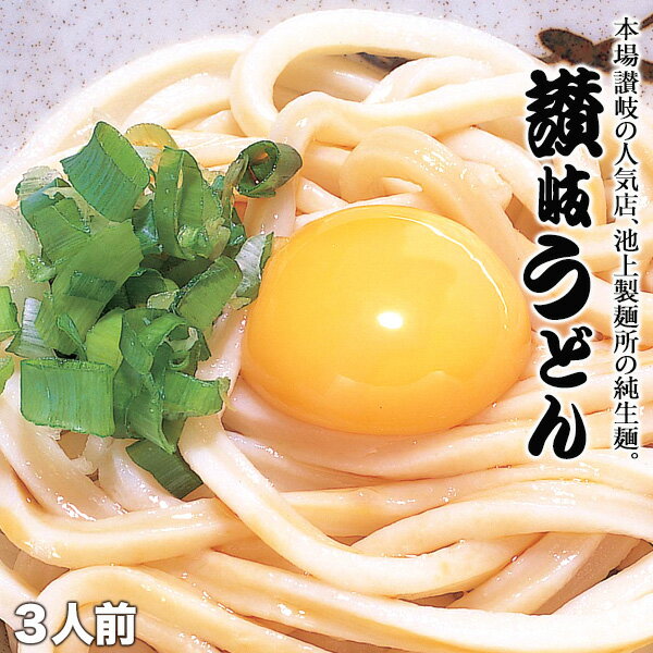 池上製麺所 るみばあちゃん監修！！純生讃岐うどん3人前セット［うどん300g×1袋＋だし醤油10ml×3袋］【4〜5営業日以内に出荷】［送料無料］［税別］
