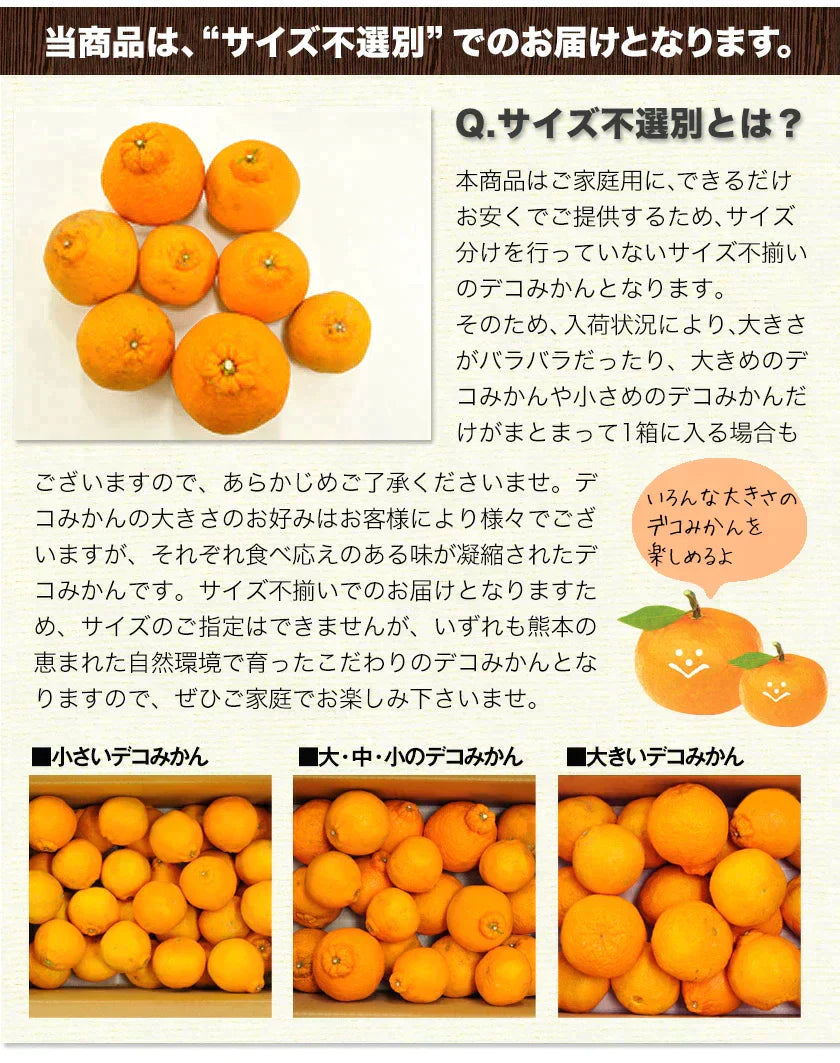 訳あり デコみかん 4.5kg 送料無料 不知火 みかん ミカン 熊本県産 訳あり デコポン と同品種 熊本 柑橘 目玉商品 くまもと風土《3月末頃～4月中旬頃より発送予定》【エコ得リリースSALE】
