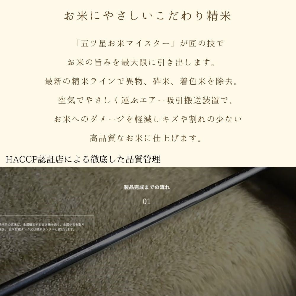 【限定クーポンで20%OFF】【受注精米】 お米 【 新潟県産 こしいぶき 】 令和3年産 米 10kg 10キロ ( 5kg x2袋) 白米