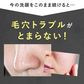 【PHOEBE BEAUTY UP  パウダーウォッシュ 1箱30包】酵素洗顔 個包装 パパイン 酵素洗顔パウダー 日本製