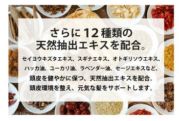 【医薬部外品】2点セット 薬用スキャルプシャンプー＆トニックセット EARTHEART / 頭皮の悩み 乾燥 エイジングケア 育毛 シャンプー 美容室 シャンプー サロン品質