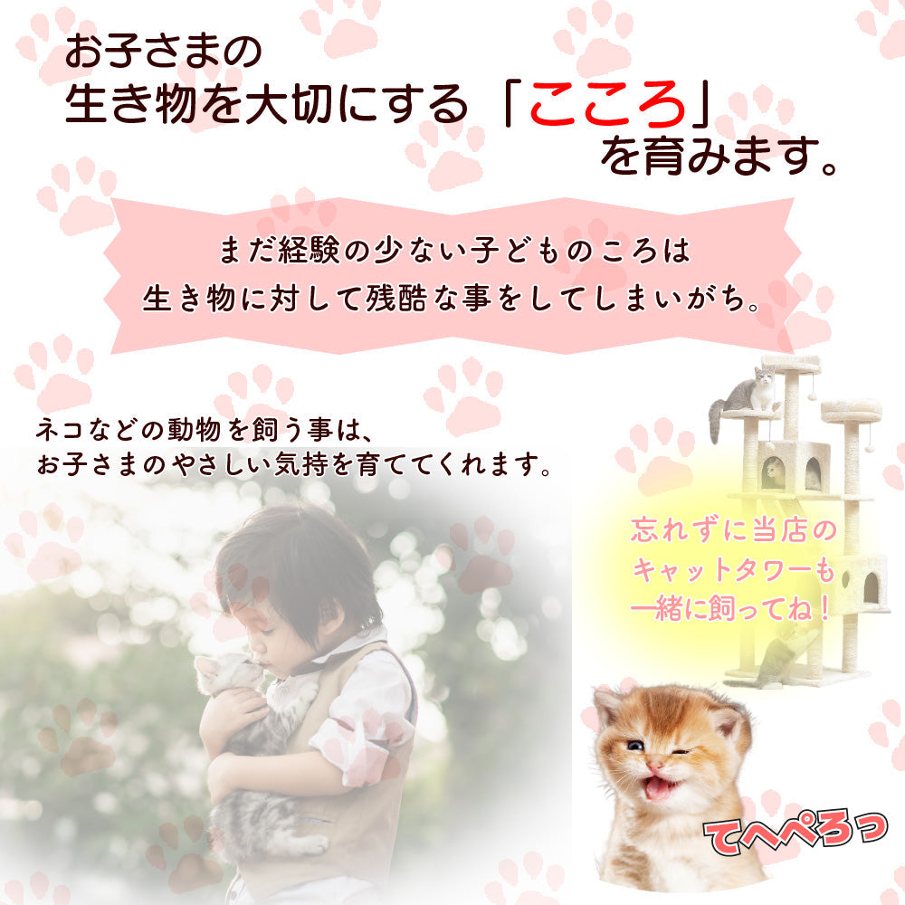 キャットタワー 高さ173cm 据え置き おしゃれ かわいい ペット 猫 ネコ 運動不足解消 大型 小型 多頭飼い 爪研ぎ 爪とぎ 麻紐 ハウス 子猫 シニア グレー ベージュ アイボリー 畳 部屋 据え置き 組立簡単 かんたん おもちゃ 室内 運動