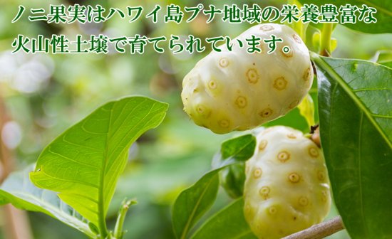 マウナノニ100％300ml