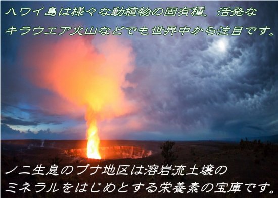 マウナノニカプセル90粒