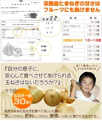 今井ファーム　 淡路島 新玉ねぎ かくし玉　５K  ＃かくし玉訳あり5Ｋ＃