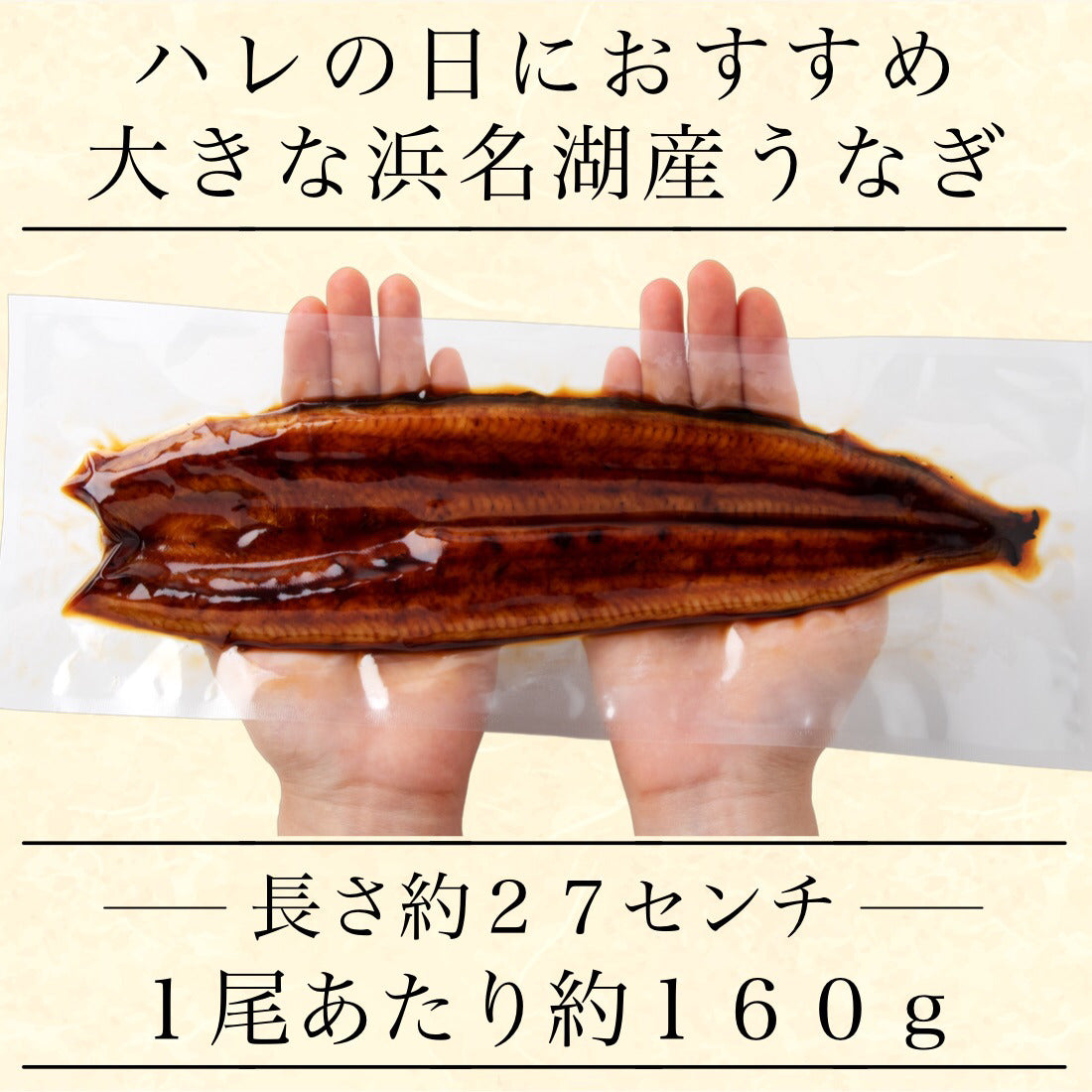 お中元ギフト 浜名湖 国産 うなぎ 蒲焼 無頭 大サイズ 約160g×1尾【ギフト対応可】冷凍 鰻 浜名湖産 浜名湖うなぎ 国産うなぎ うなぎ蒲焼 真空パック 中元 ギフト 夏ギフト 御中元 土用の丑【C配送：冷凍】