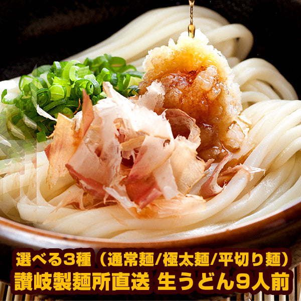 讃岐製麺所直送 生うどん9人前（300g×3P）選べる3種（通常麺/極太麺/平切り麺）メール便でお届け【4〜5営業日以内に出荷】【送料無料】