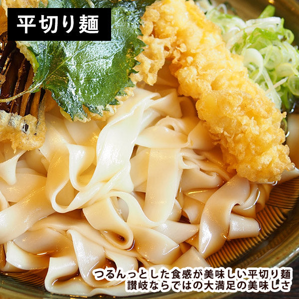 讃岐製麺所直送 生うどん9人前（300g×3P）選べる3種（通常麺/極太麺/平切り麺）メール便でお届け【4〜5営業日以内に出荷】【送料無料】