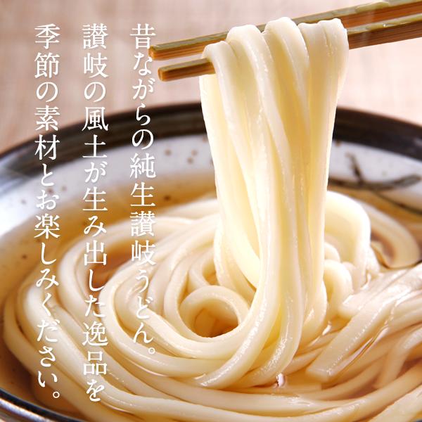 讃岐製麺所直送 生うどん9人前（300g×3P）選べる3種（通常麺/極太麺/平切り麺）メール便でお届け【4〜5営業日以内に出荷】【送料無料】