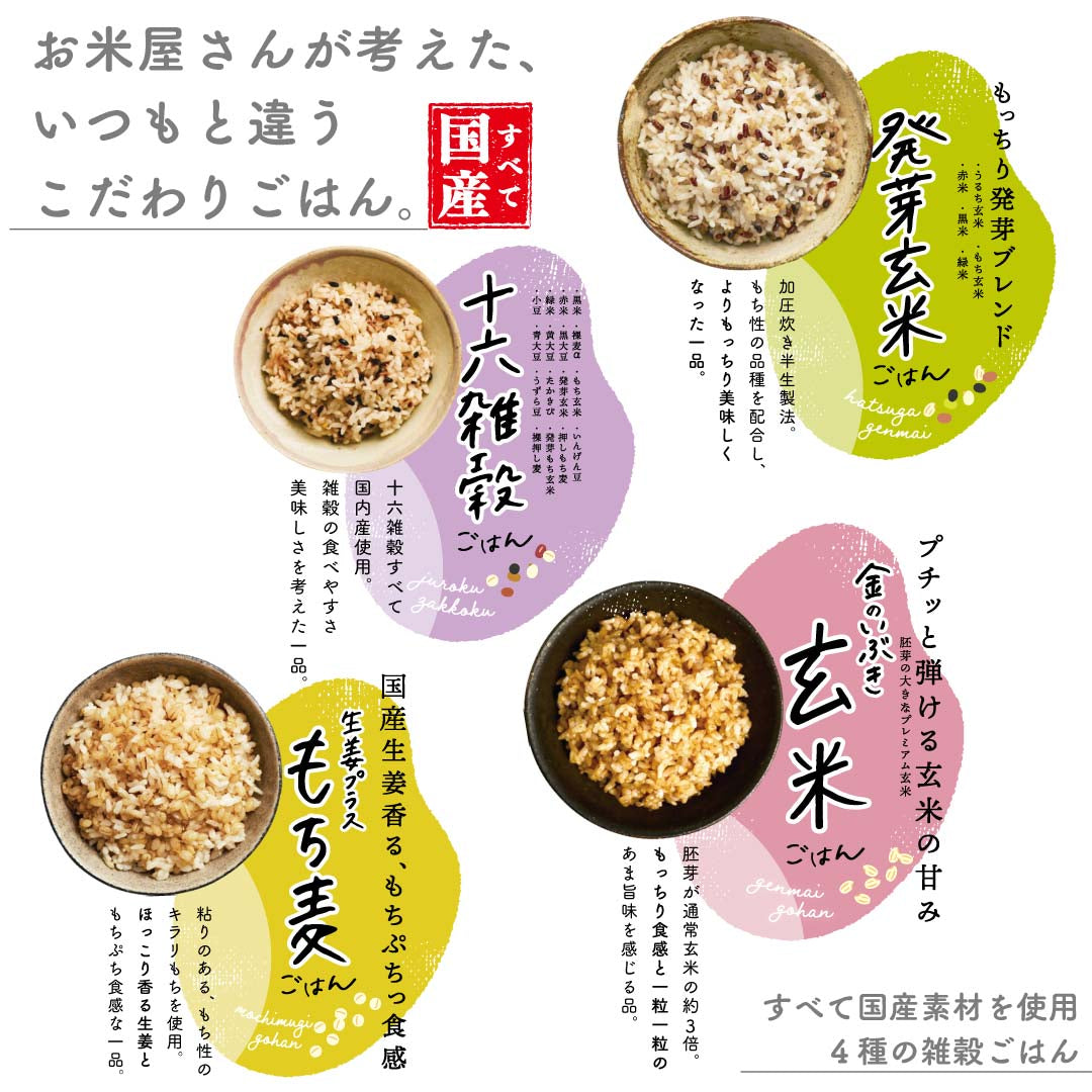 ご飯パック 発芽玄米ごはん 48個セット 160g おくさま印 お米 レトルト 食品 無添加 国産 レンジで簡単 温めるだけ ギフト 引っ越し 挨拶 出産 内祝い 母の日 父の日 お中元 お歳暮 結婚 還暦 寒中 暑中見舞い お年賀 送料無料