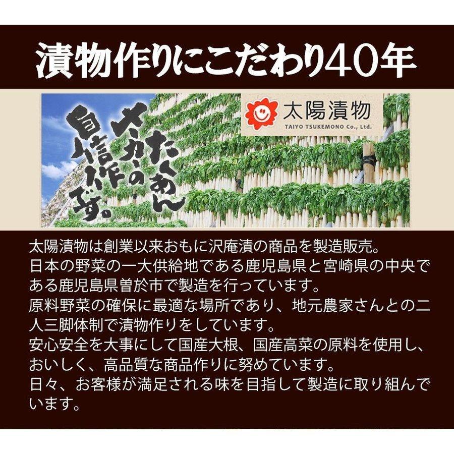 九州高菜 4袋 (150g×4袋) 送料無料 ご飯のお供 ふりかけ 食品 お試し 国産 ギフト お取り寄せ グルメ 漬物 鹿児島 宮崎