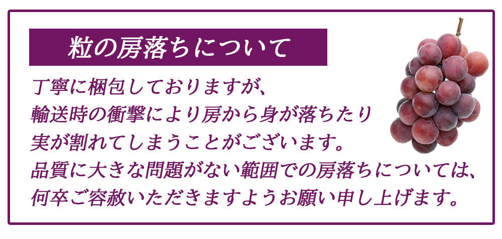【予約販売 7月27日より順次出荷】ピオーネ 1kg 送料無料 1-2房前後 ぶどう ブドウ 葡萄 フルーツ くだもの 果物 産地直送 鹿児島県産 ngs-002
