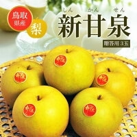 【9月上旬順次発送】送料無料 鳥取産 新甘泉 青秀品 3玉 約900ｇ