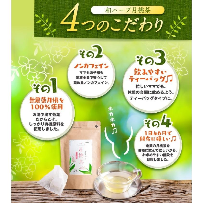 さくらの森【公式】 月桃茶 げっとうちゃ ゲットウチャ ノンカフェイン ティーバッグ カロリー0 しま月桃 無農薬 防腐剤不使用 リラックス　美肌