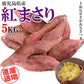 【最安値挑戦祭】紅まさり さつまいも 5kg 送料無料 産地直送 産直 土付き さつま芋 薩摩芋 焼きいも 焼き芋 石焼き芋 芋 いも イモ 鹿児島県産 ngs-005