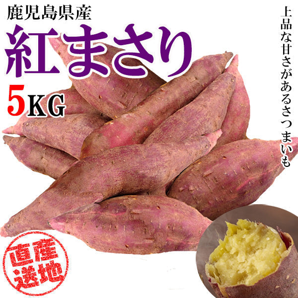 【最安値挑戦祭】紅まさり さつまいも 5kg 送料無料 産地直送 産直 土付き さつま芋 薩摩芋 焼きいも 焼き芋 石焼き芋 芋 いも イモ 鹿児島県産 ngs-005