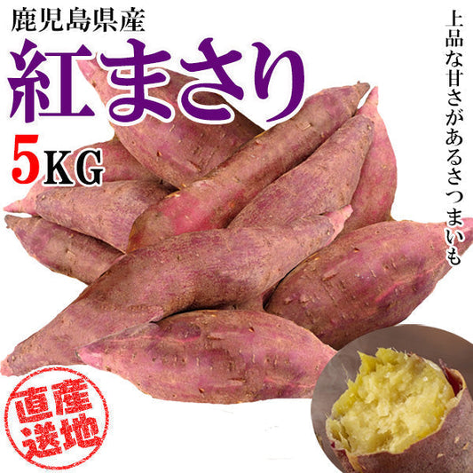 【最安値挑戦祭】紅まさり さつまいも 5kg 送料無料 産地直送 産直 土付き さつま芋 薩摩芋 焼きいも 焼き芋 石焼き芋 芋 いも イモ 鹿児島県産 ngs-005