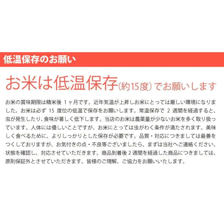 【タイムセール】ブレンドこしひかり「米が一番」10ｋｇ