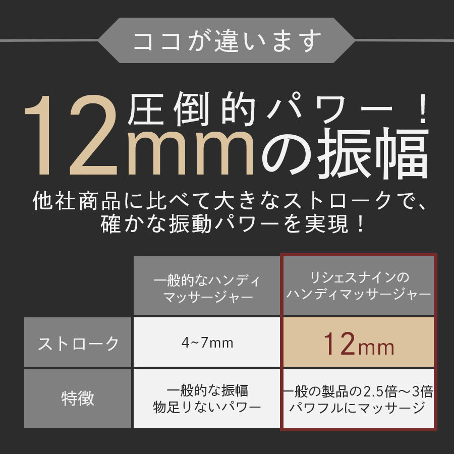 パーソナルマッサージガン richesse9