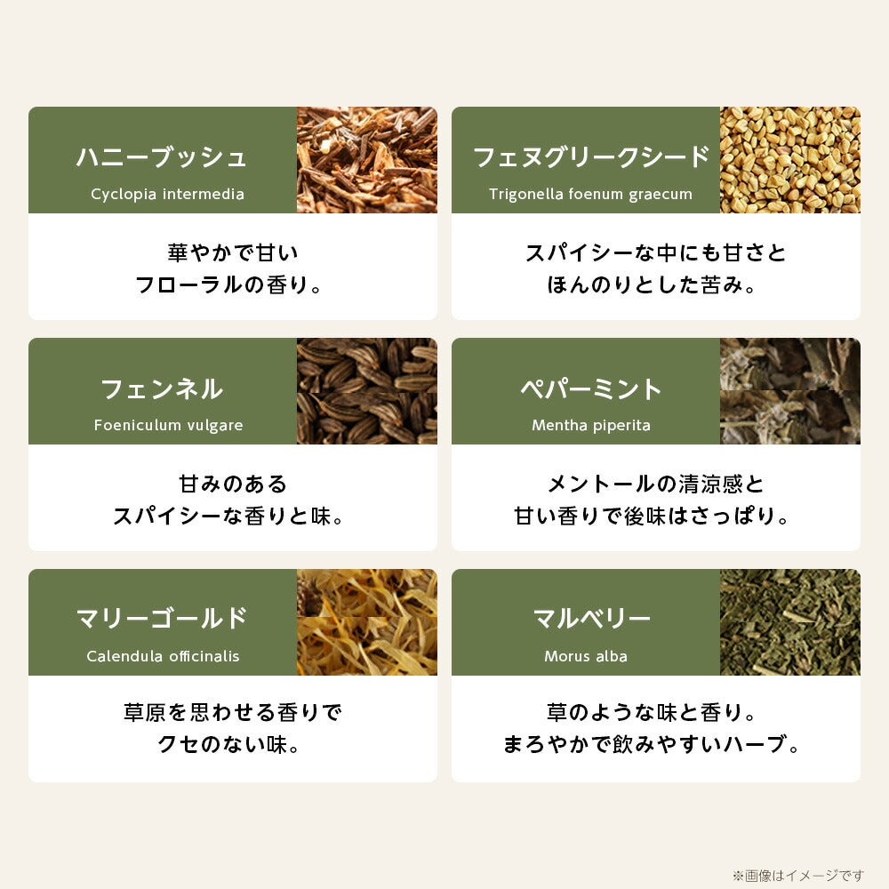 【※選択肢商品】オーガニック・ハーブティー 有機JAS 選べる セット お試し 4種【送料無料】マロウブルー ローズヒップ カモミール ラベンダー 36種から選べる リーフ ハーブ ギフト 産後 マタニティ グリーンルイボスティー セントジョーンズワートハニーブッシュ