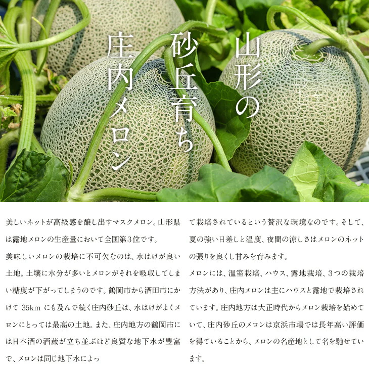 【7月上旬より順次出荷】山形県庄内産メロン詰合せ約2.5kg・2玉(青肉メロン＆赤肉メロン各1玉)※一部地域は別途送料　mr05
