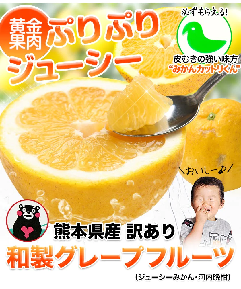 河内晩柑 1.5kg 送料無料 和製 グレープフルーツ 旬 の フルーツ 果物 みかん 別名：夏文旦 愛南ゴールド 宇和ゴールド ジューシーみかん と同品種 晩柑 熊本県産《3月中旬~4月上旬頃発送予定》