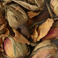 有機JAS オーガニック・ハーブ　ローズバッズ 50g 【 ハーブティー ハーブ ドライハーブ 茶葉 薔薇 バラ ローズ 無農薬 お茶 】