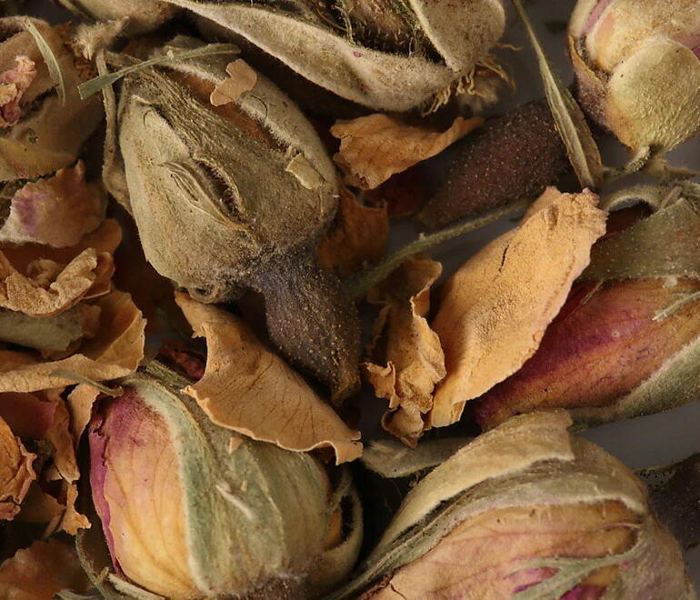 有機JAS オーガニック・ハーブ　ローズバッズ 50g 【 ハーブティー ハーブ ドライハーブ 茶葉 薔薇 バラ ローズ 無農薬 お茶 】