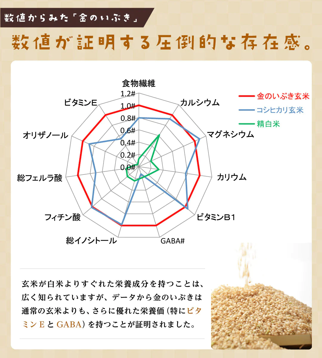 玄米ご飯パック 宮城県産 金のいぶきごはん 12個セット (120g×12) お米 おくさま印 食品 栄養 健康 レンジで簡単 温めるだけ レトルト ギフト 引っ越し 挨拶 出産 内祝い お中元 お歳暮 結婚 快気 還暦 送料無料
