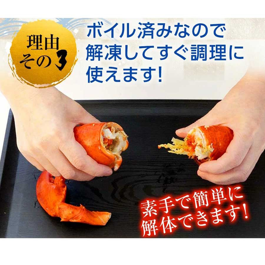 ロブスター オマール海老 ボイル 550g エビ BBQ バーベキュー 贈り物
