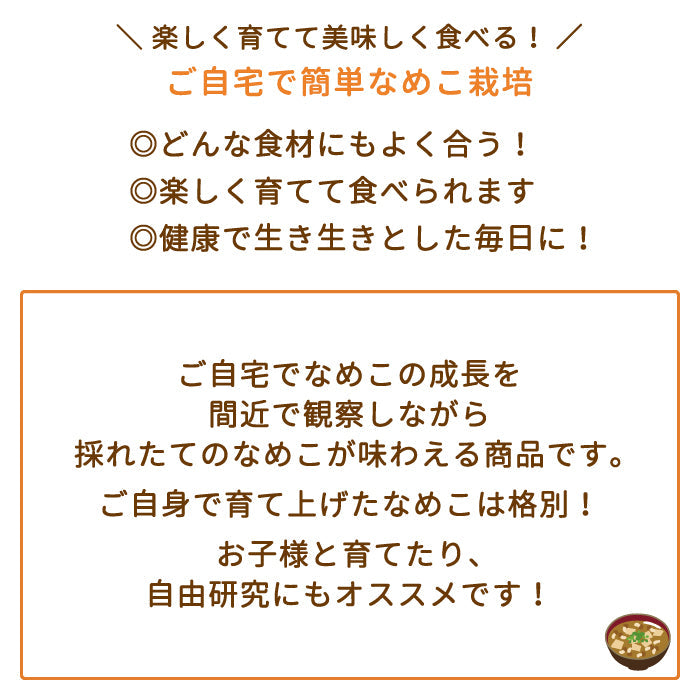 なめこ栽培キット　福島県産　家庭栽培・自由研究* (クール便)