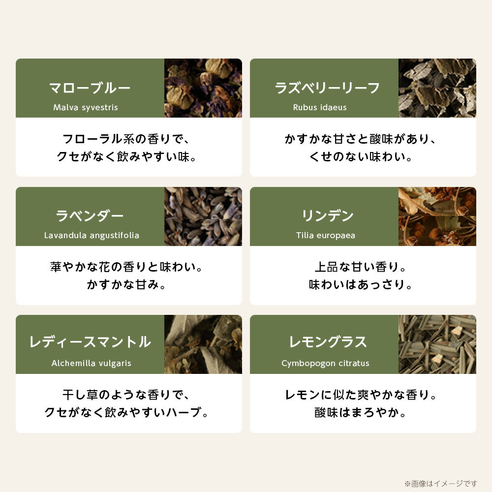 【※選択肢商品】オーガニック・ハーブティー 有機JAS 選べる セット お試し 4種【送料無料】マロウブルー ローズヒップ カモミール ラベンダー 36種から選べる リーフ ハーブ ギフト 産後 マタニティ グリーンルイボスティー セントジョーンズワートハニーブッシュ