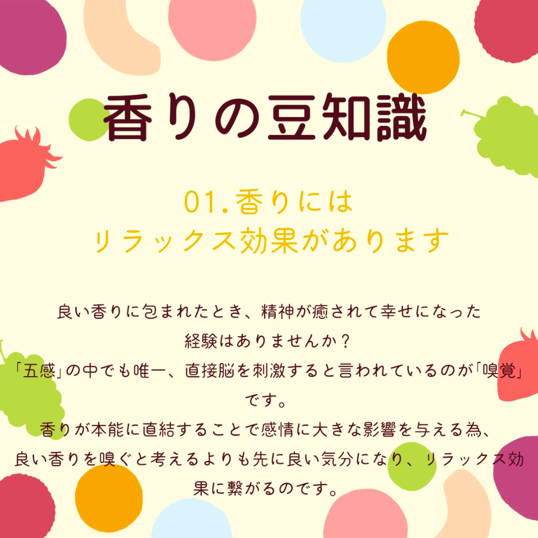 [48点]久順銘茶  白葡萄ジャスミン茶【エコ得リリースSALE】