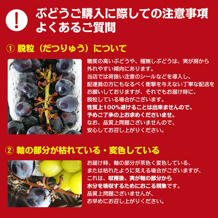 訳あり シャインマスカット 約1kg 2?3房 ご家庭用 お徳用 お買い得 ぶどう 産地厳選 贈答用 ブドウ 種無し 冷蔵便